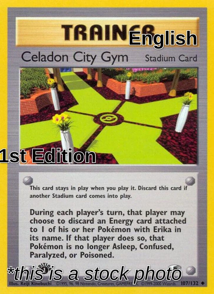 Celadon City Gym