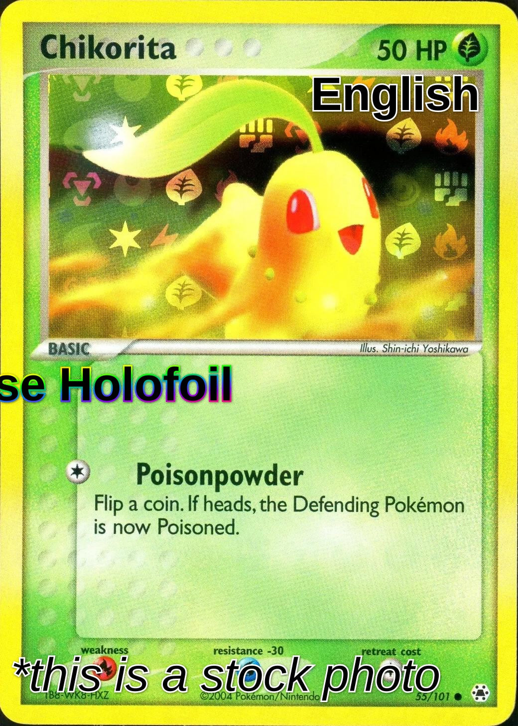 Chikorita