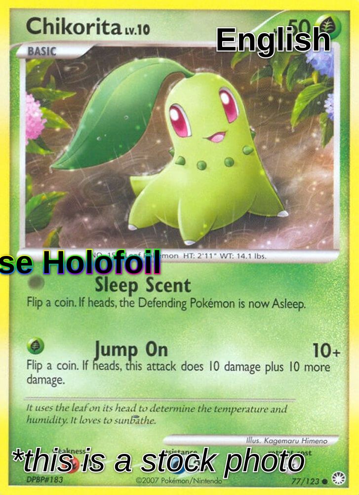 Chikorita