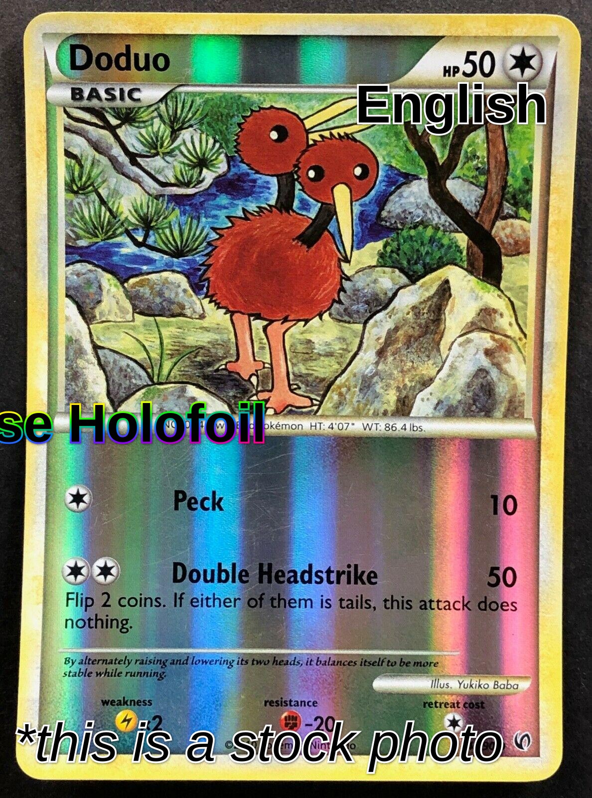 Doduo