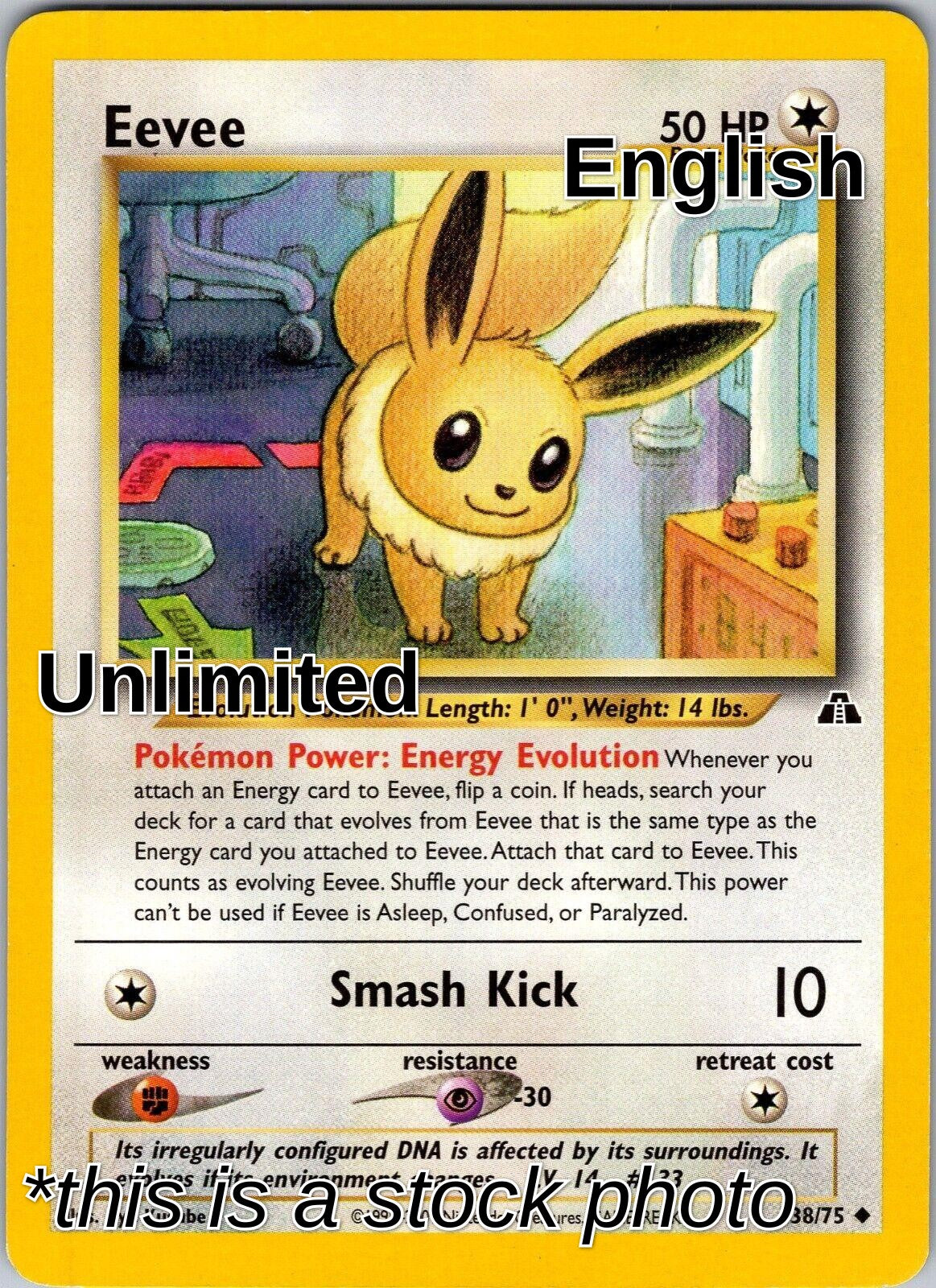 Eevee