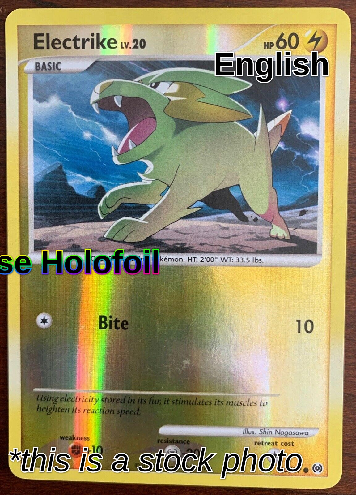 Electrike (63)