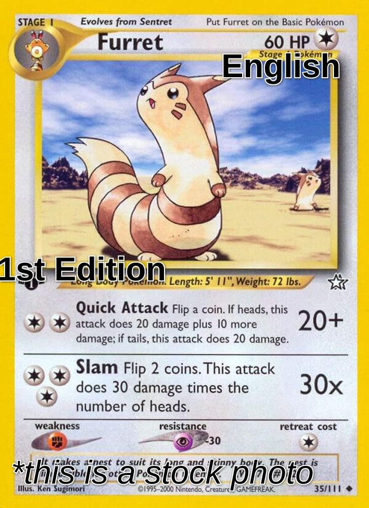 Furret