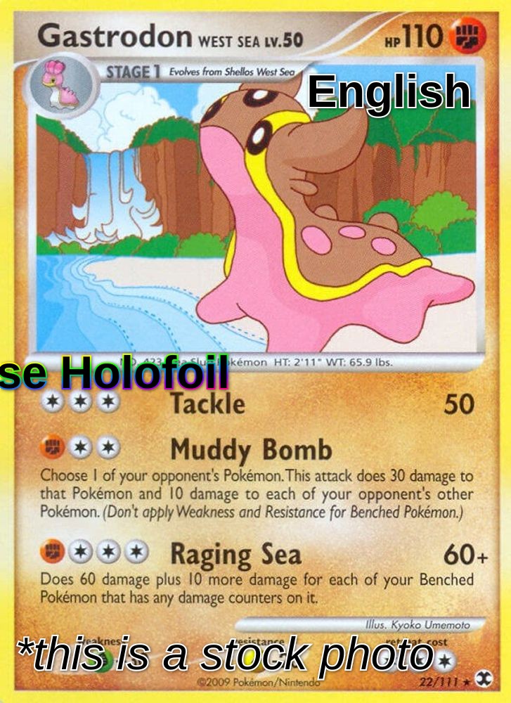 Gastrodon West Sea