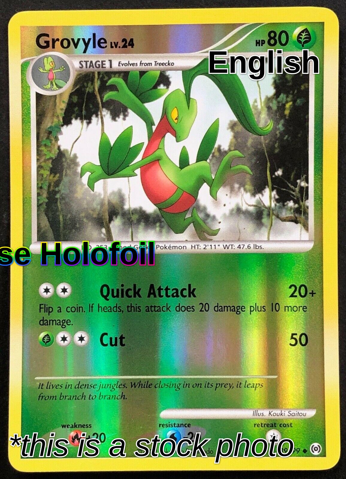 Grovyle (39)