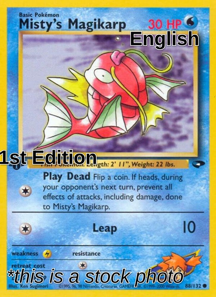 Misty's Magikarp