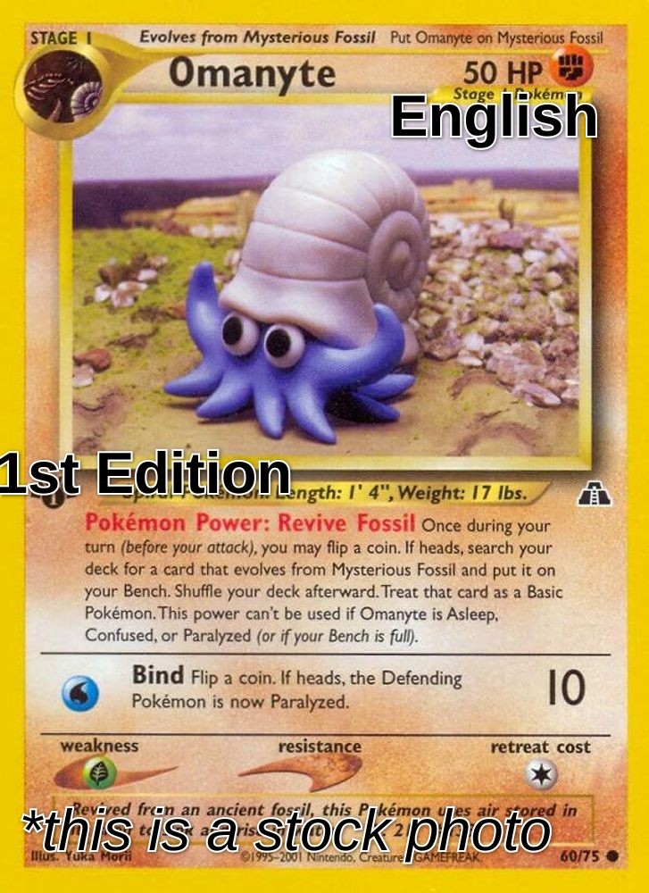 Omanyte