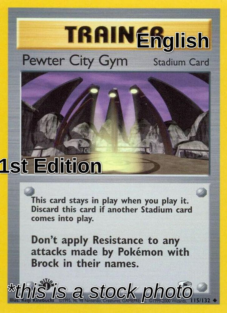 Pewter City Gym