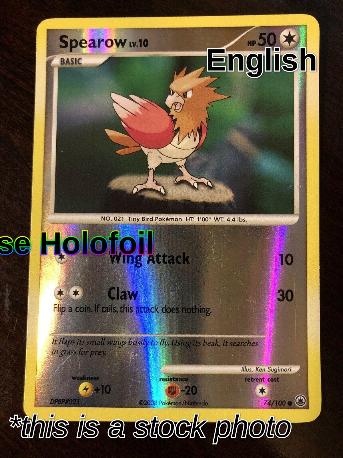 Spearow