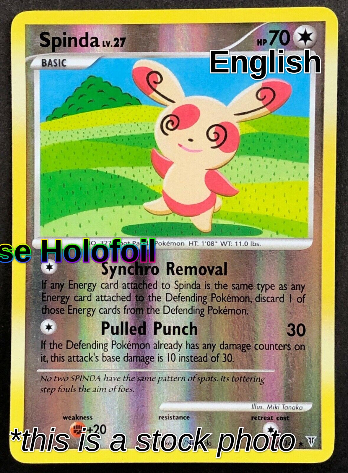 Spinda