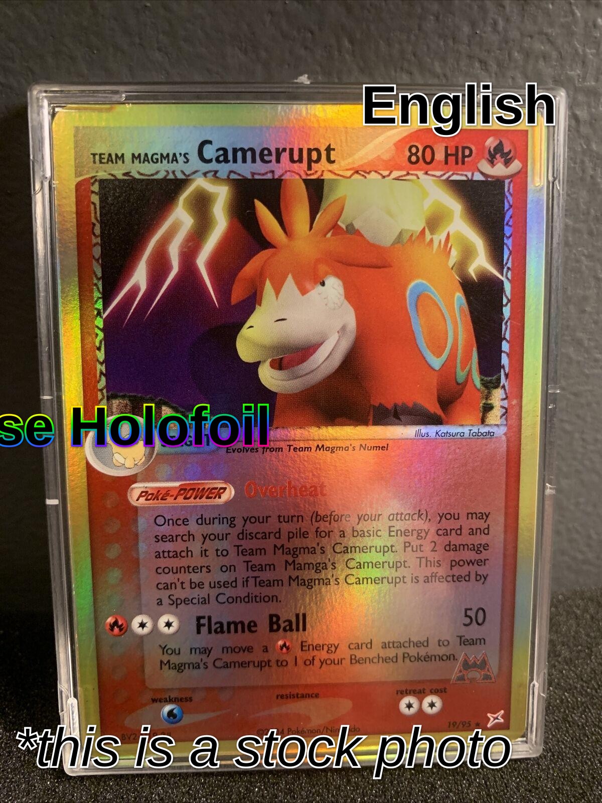 Team Magma's Camerupt