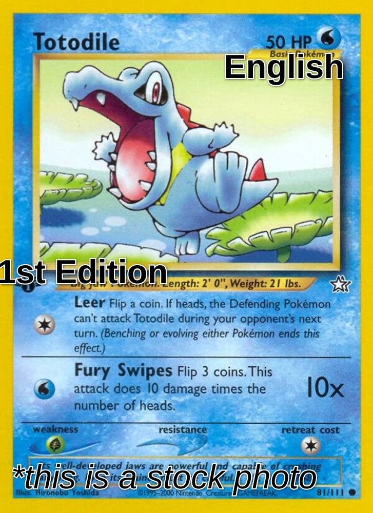 Totodile (81)