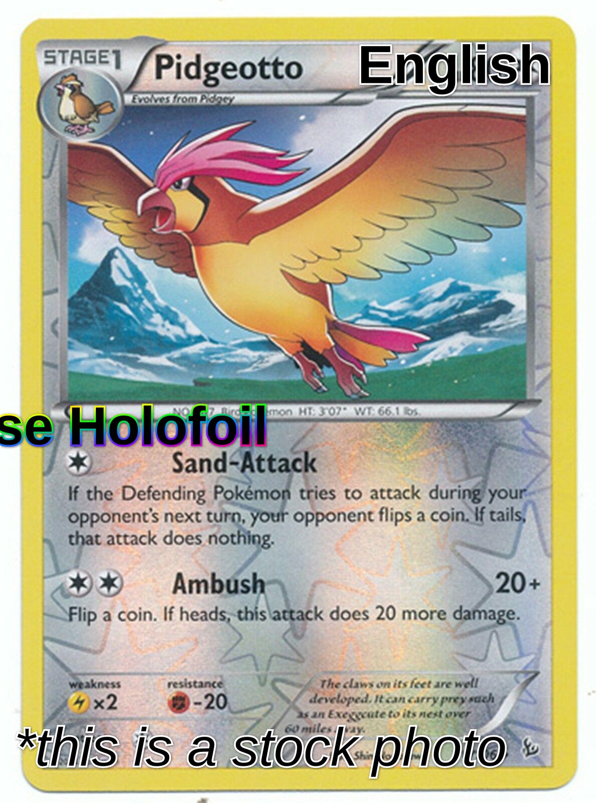 Pidgeotto