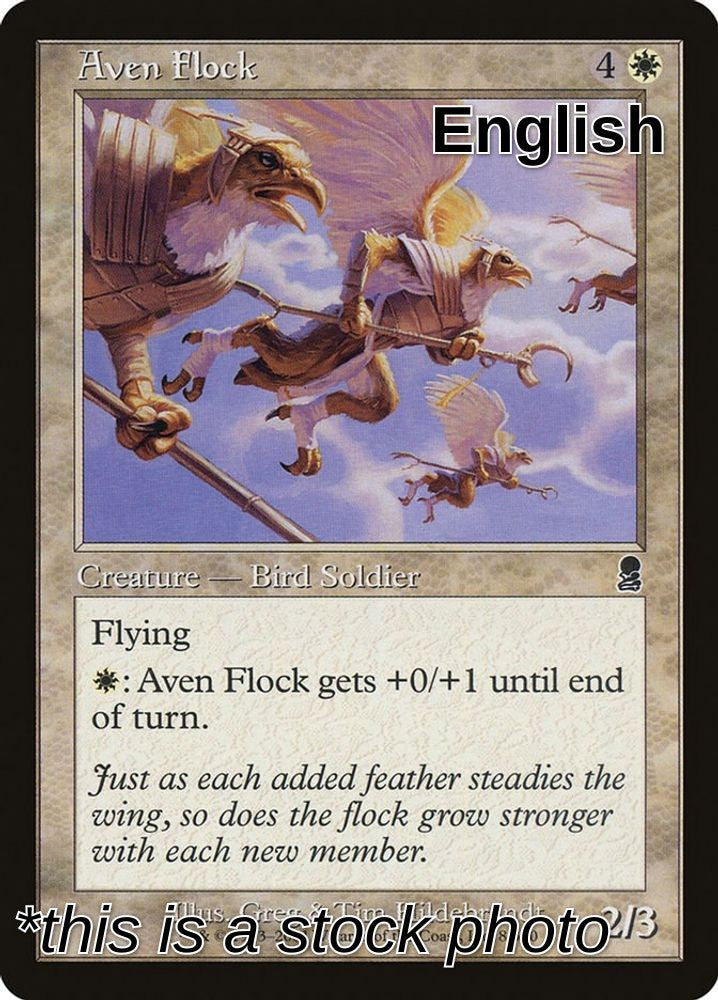 Aven Flock