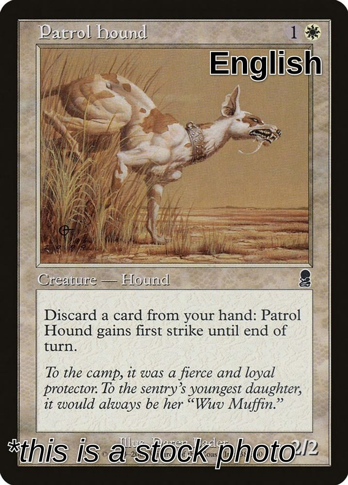 Patrol Hound