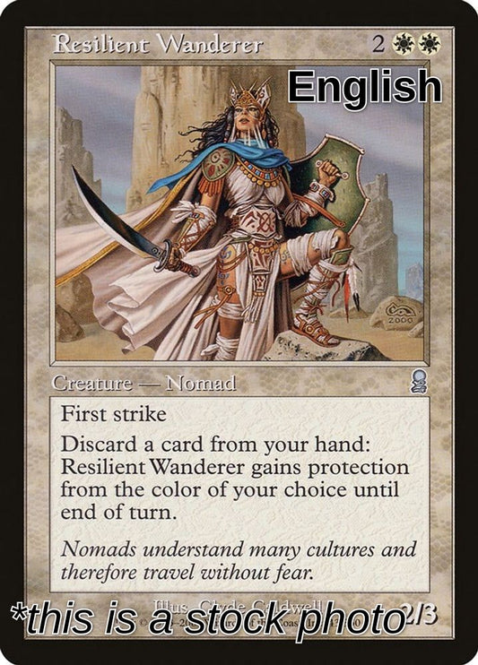 Resilient Wanderer