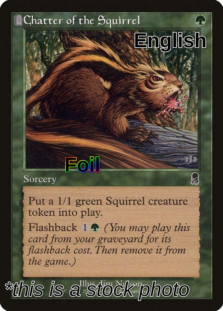 Chatter of the Squirrel