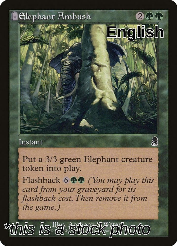 Elephant Ambush