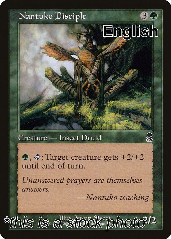 Nantuko Disciple