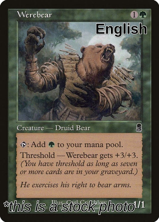 Werebear