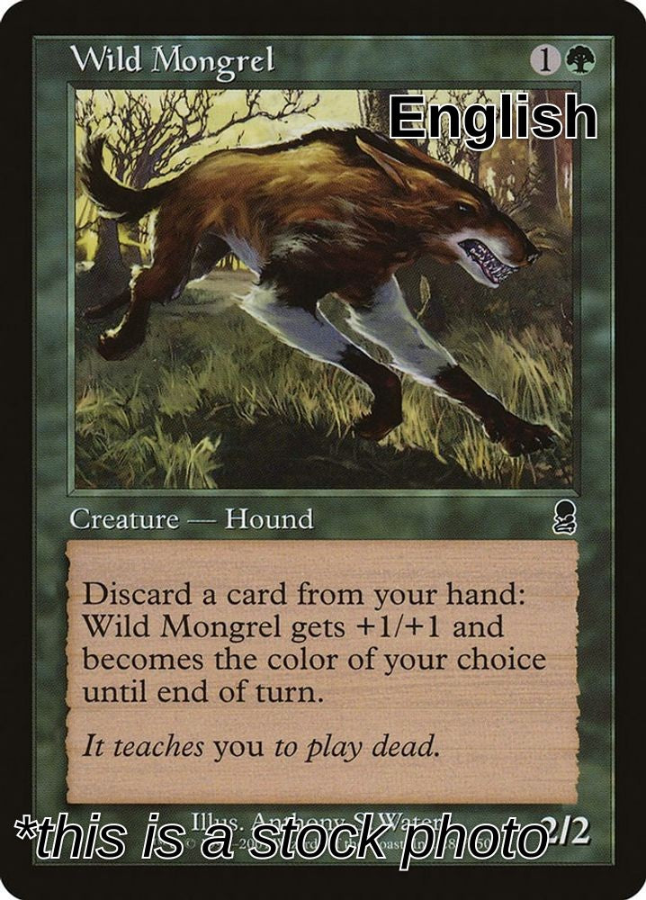 Wild Mongrel