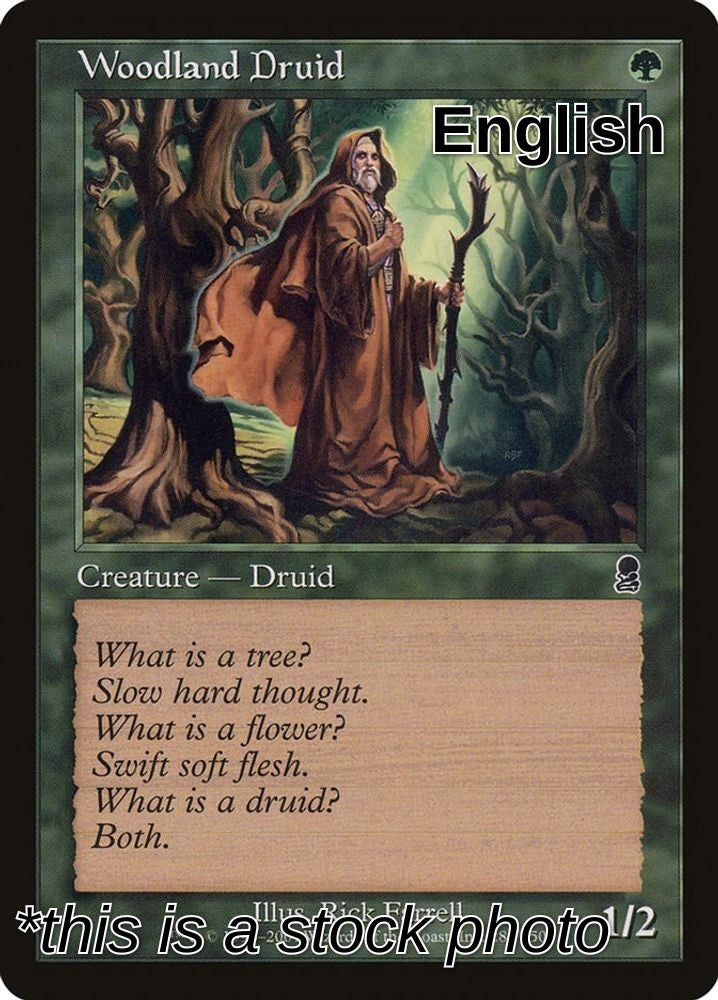 Woodland Druid