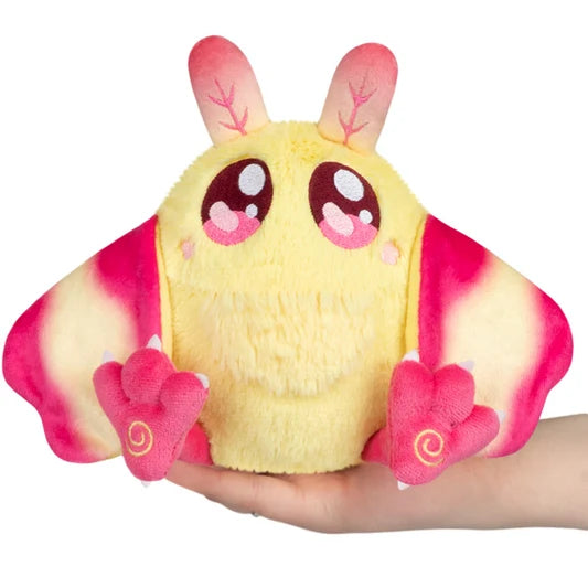 rosy maple mothman