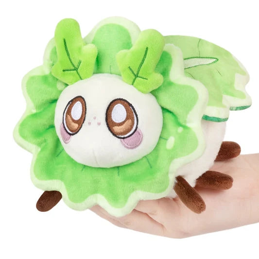 turnip moth