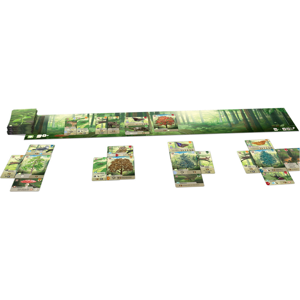 Forest Shuffle - Board Game