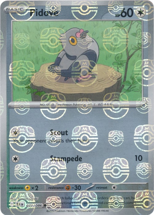 Pidove (Master Ball Pattern) [BLK - 071/086] - SV: Black Bolt