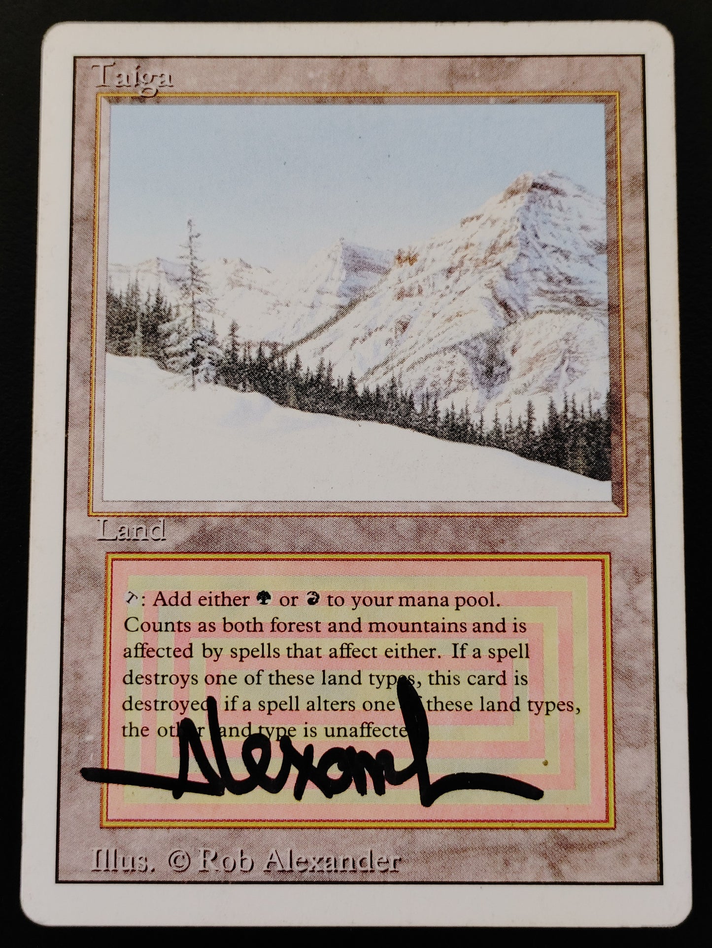 Taiga [Revised Edition] - Heavily Played - Signed By Artist