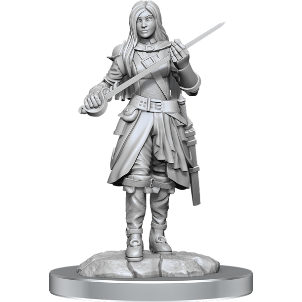 D&D Nolzur's Marvelous Miniatures: Half-Elf Rogue Female