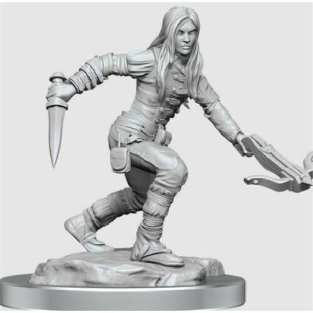 D&D Nolzur's Marvelous Miniatures: Half-Elf Rogue Female