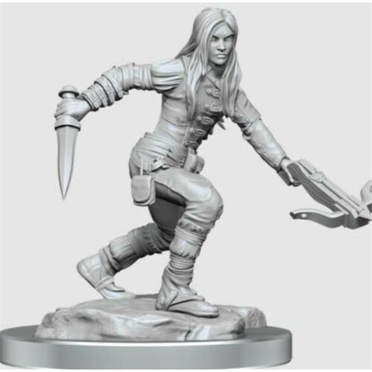 D&D Nolzur's Marvelous Miniatures: Half-Elf Rogue Female