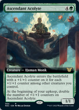Ascendant Acolyte (Extended Art) [Kamigawa: Neon Dynasty Commander]