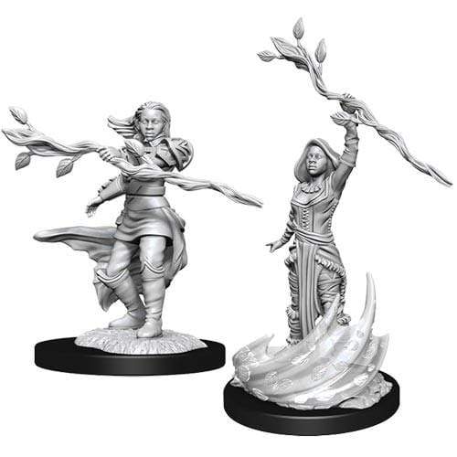 D&D Nolzur's Marvelous Miniatures: Human Druid Female dungeons dragons