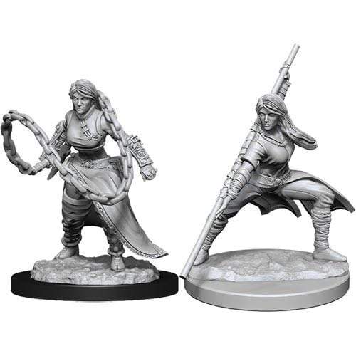 D&D Nolzur's Marvelous Miniatures: Human Monk dungeons dragons