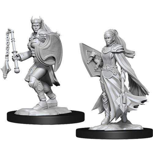 Nolzur's Marvelous Miniatures: Kalashtar Cleric dungeons dragons female