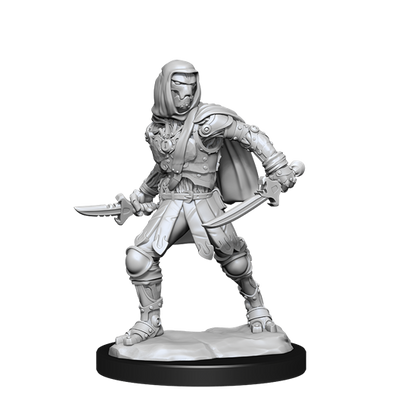 D&D Nolzur's Marvelous Miniatures: Warforged Rogue dungeons dragons