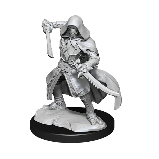 D&D Nolzur's Marvelous Miniatures: Warforged Rogue dungeons dragons