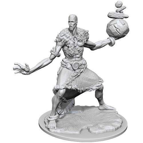 D&D Frameworks: Wave 1 - Stone Giant - Miniature