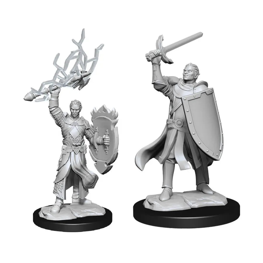 D&D Nolzur's Marvelous Miniatures: Half-Elf Paladin dungeons dragons