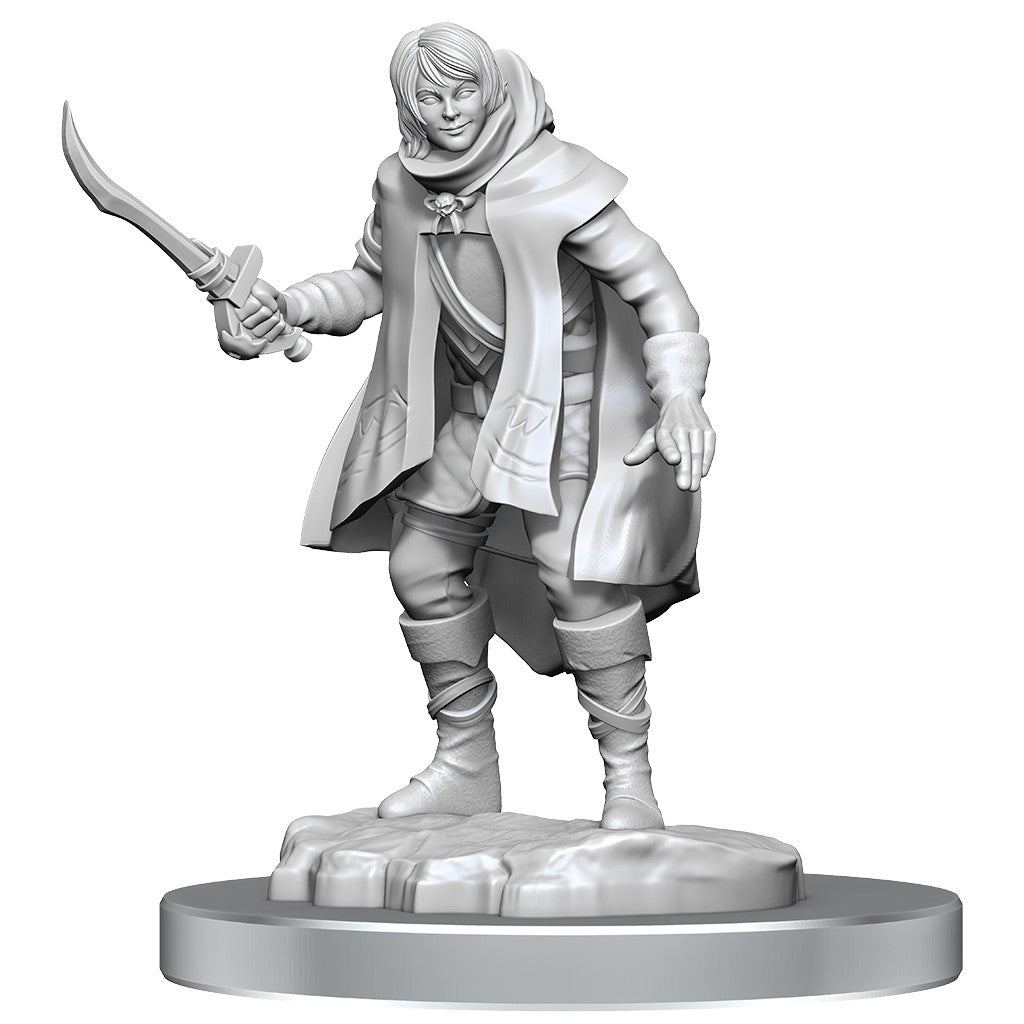 D&D Nolzur's Marvelous Miniatures: Elf Rogue & Half-Elf Rogue Protege